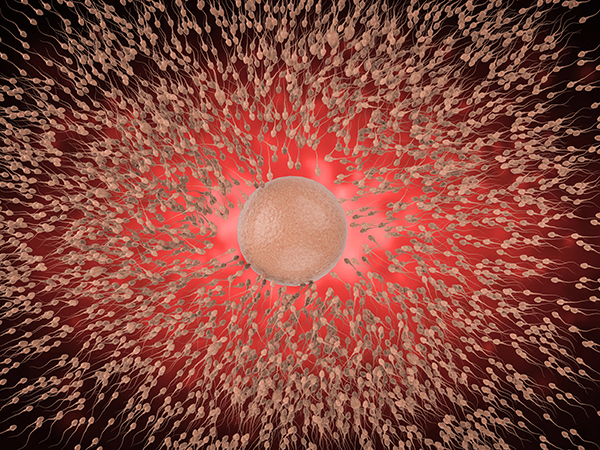 ֢
